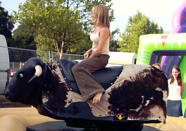 Rodeo Bull Hire
